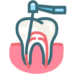 Root Canals