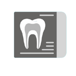 Dental X Rays